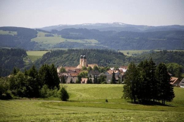 Gaestehaus Wald Und See ティティゼー・ノイシュタット エクステリア 写真