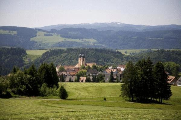 Gastehaus Wald Und See ティティゼー・ノイシュタット エクステリア 写真